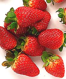 red strawberries to grow in your garden