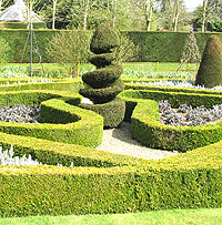 Landscaping in a Dorset Garden