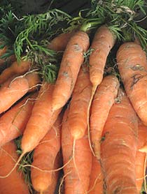 Liming soil helps to produce healthy crops of carrot