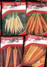 four packets of carrot seed varieties