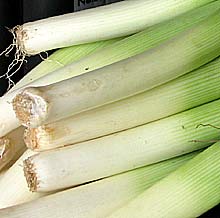 picture of a bunch of home grown leeks
