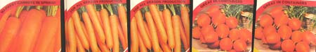 packets of carrot seed
