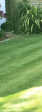 Berkshire lawnmower keeps the grass short