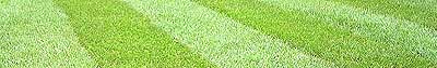 turf suppliers in Cheshire