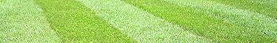 turf suppliers in Warwickshire